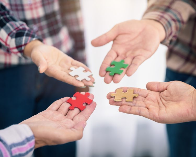 Diversity and Inclusion in Guest Experience (New!)